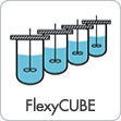 FlexyCUBE